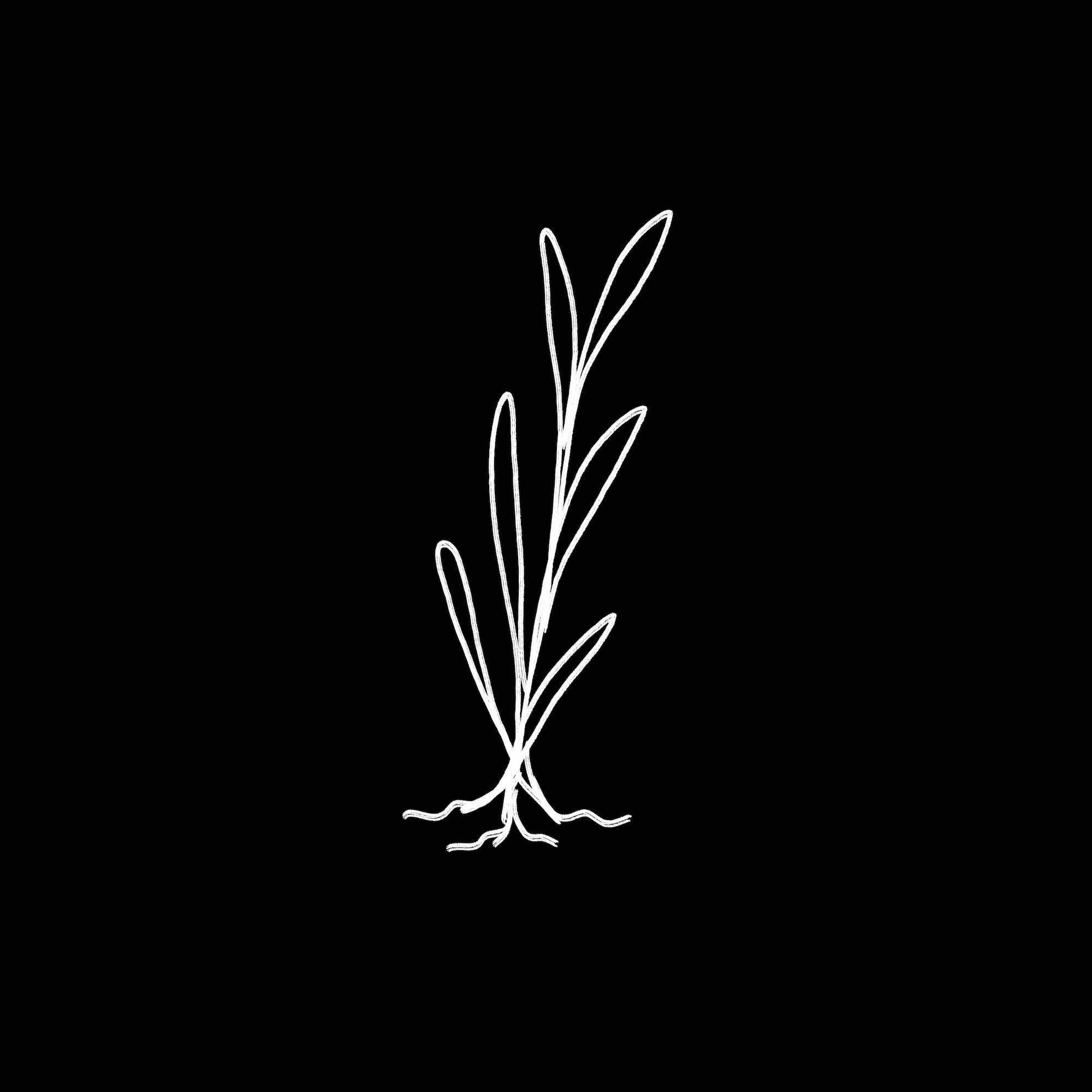 Uto (growth) symbol